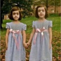 Cerita Misteri 2 Anak Kembar