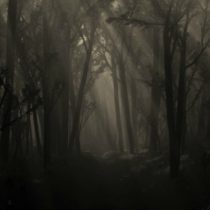 Tafsir Arti Mimpi Tersesat di Hutan