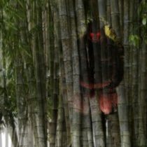 Genderuwo DiBalik Bambu