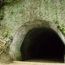Cerita Misteri Terowongan Ghaib Hutan Bogan